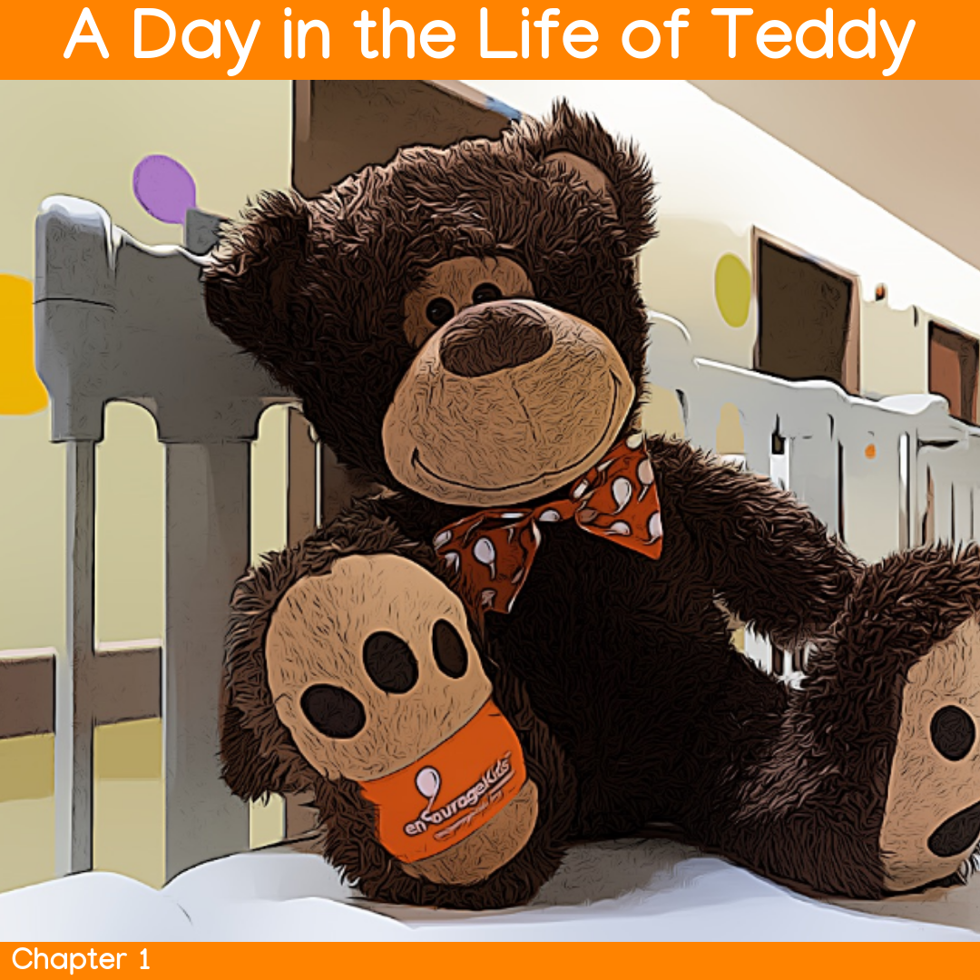 Día en la vida de Teddy