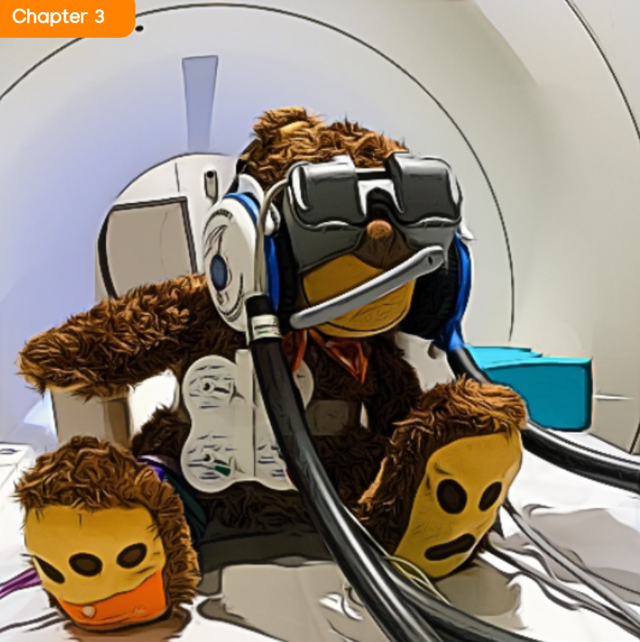 Teddy with VR Goggles in MRI